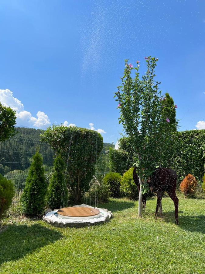Katarino Spa Chalet Razlog Exteriör bild